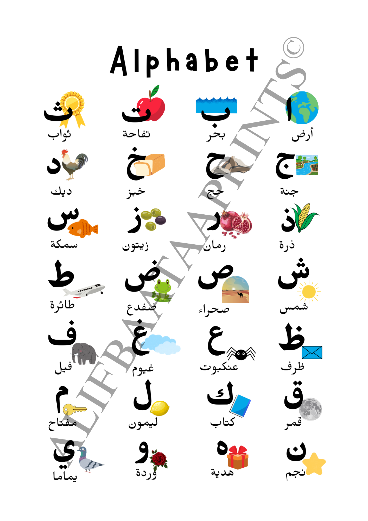 Arabic Islamic Educational Wall Print Set - Set of 6
