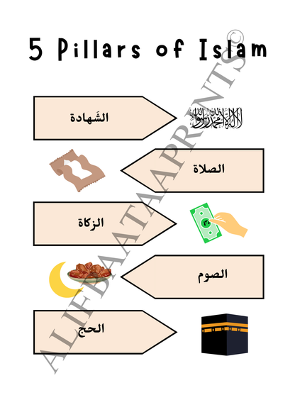 Arabic Islamic Educational Wall Print Set - Set of 6